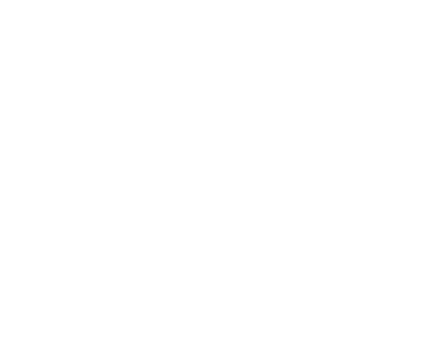 Mine Branch Dog Ranch Logo