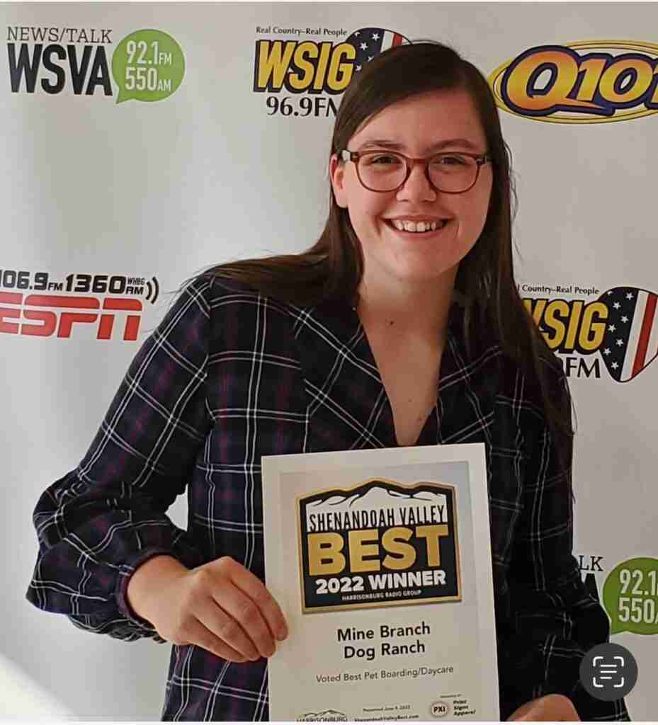 2022 best dog boarding and daycare